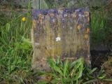 image of grave number 953930